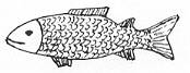 24900 - Brass large fish inlay - Inlays