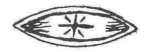 25760 - Brass inlay sharp oval - Inlays
