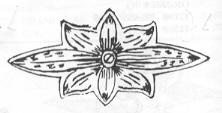 25850 - German silver Flower inlay - 